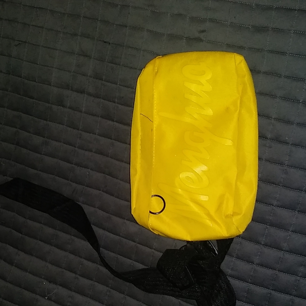 Bum Bag (fanny pack)